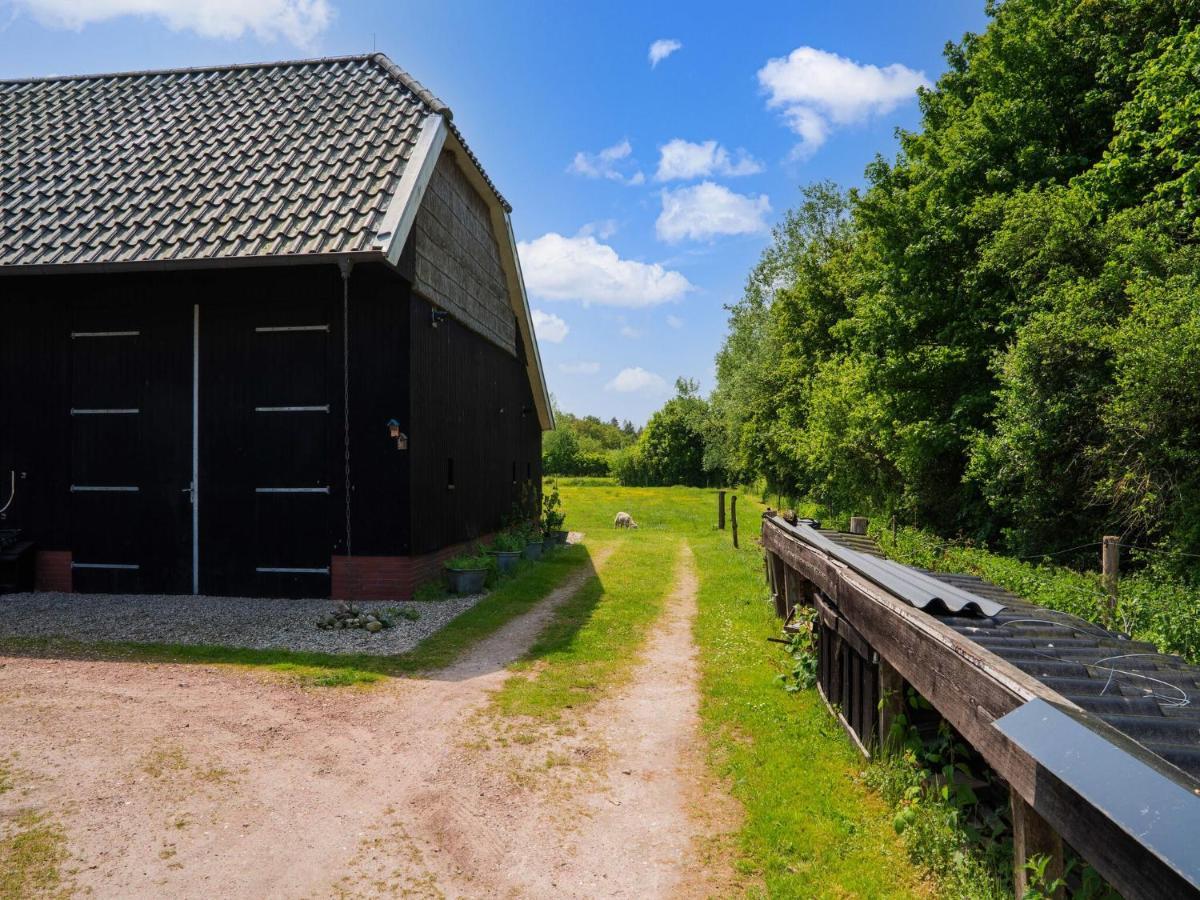 A Lovely Cottage On The Dwingelderveld Nature Park Beilen Zewnętrze zdjęcie